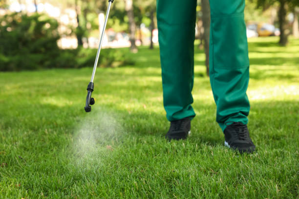 Best Mosquito Control Services  in Janesville, MN