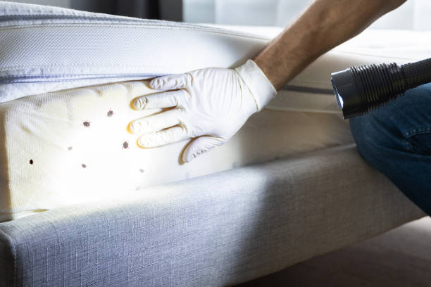 Best Wildlife Control Services  in Janesville, MN