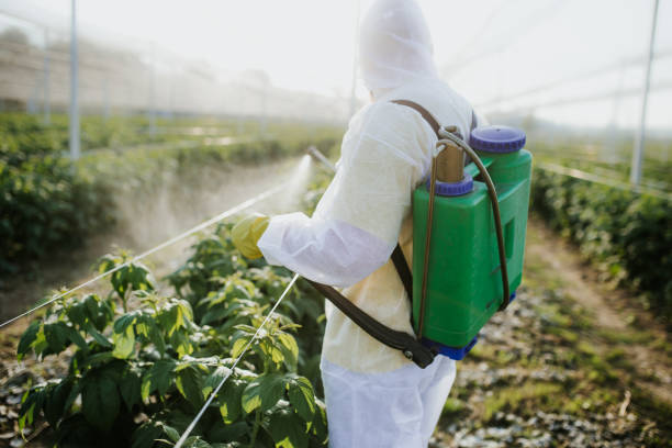 Janesville, MN Pest Control Pros